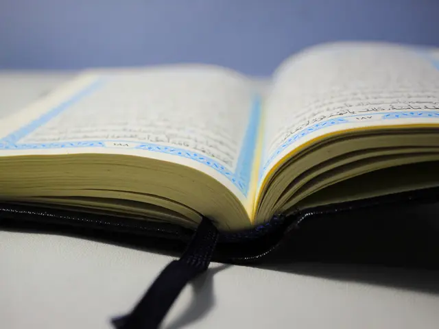 سورة التين المستوى الاول ابتدائي